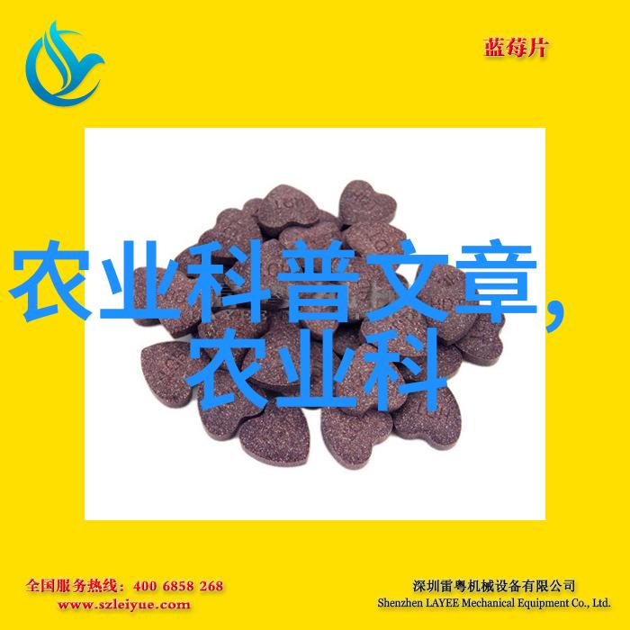 绽放的血缘之花父女情深的诗篇