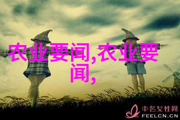 蛙跃田园石蛙养殖的智慧与魅力