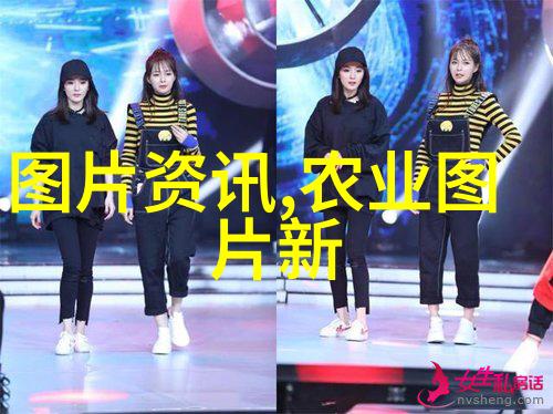蜜蜂养护指南-守护花园的忙碌工作者蜜蜂如何养成健康的家