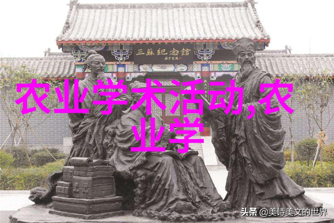 白芷轻盈姿态小东西换新颜的魅力