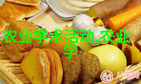 最容易种的水果是什么 - 开启家庭园艺之旅选择简单又有趣的水果种植