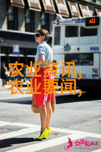 蜂箱共存探索一个空间养两群蜂的可行性