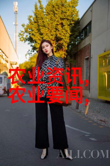 民法典目录解读全面掌握新时代法律体系