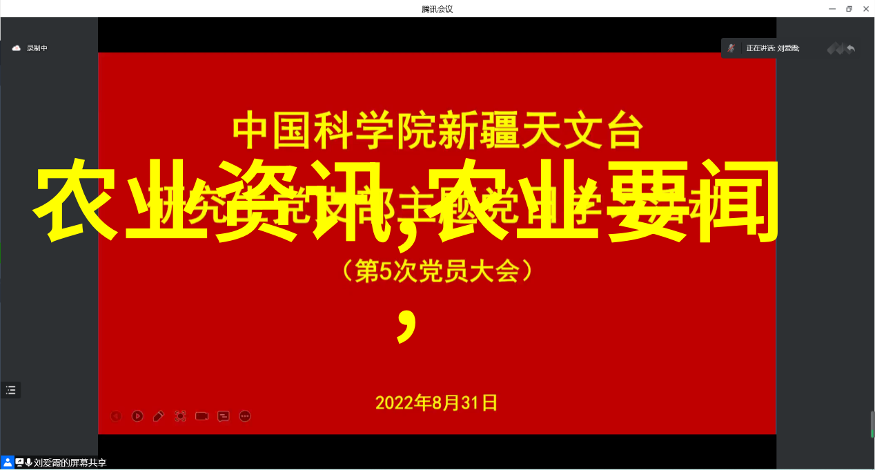蜂蜜与梦想养蜜蜂的技巧和方法