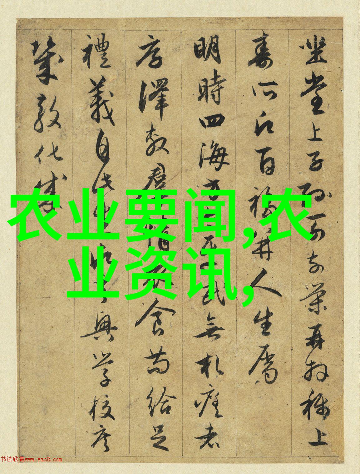 黑龙江秘境解锁当红中药材的种植之谜