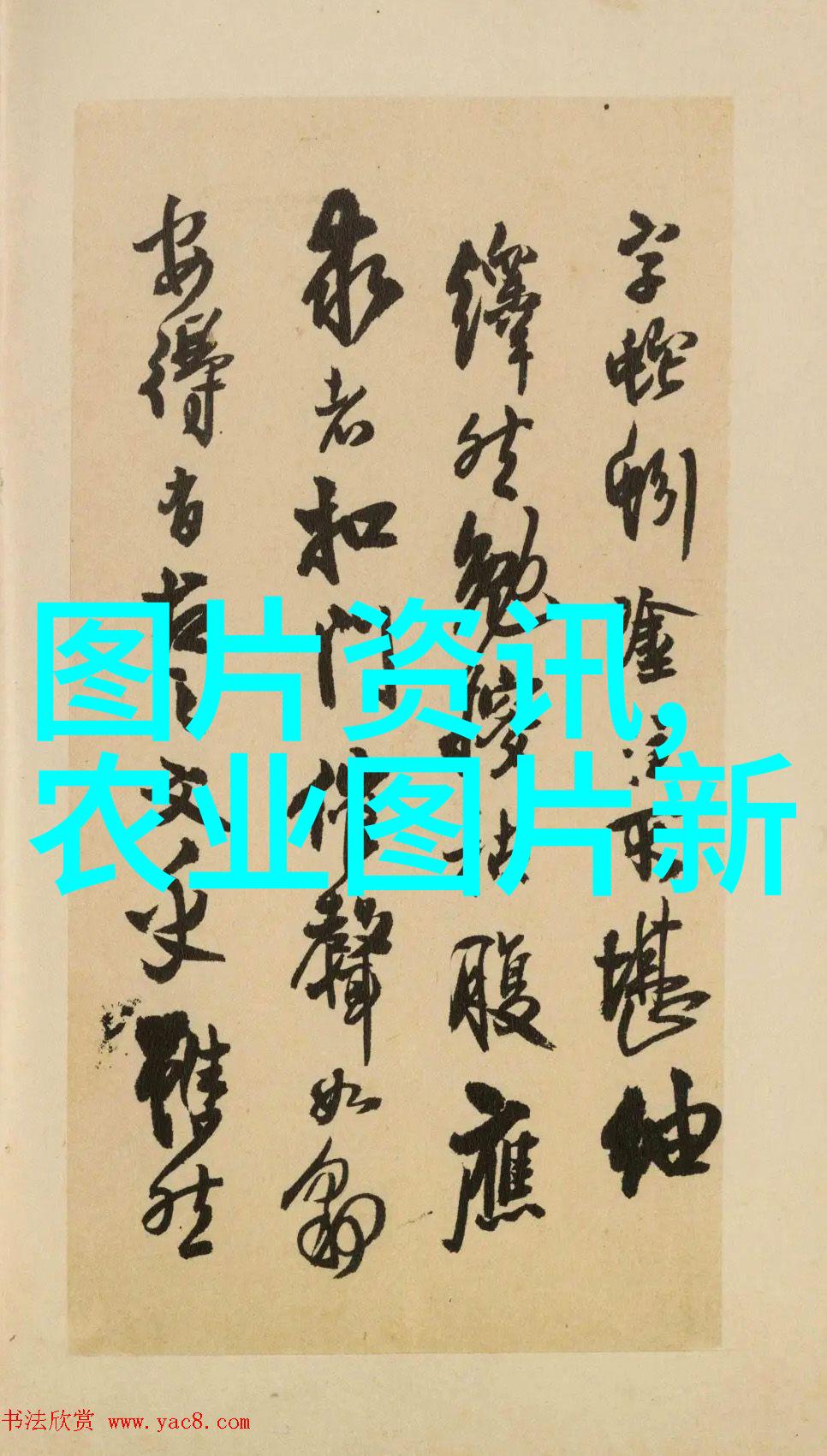 皮带机穿越时空的旋转魔力