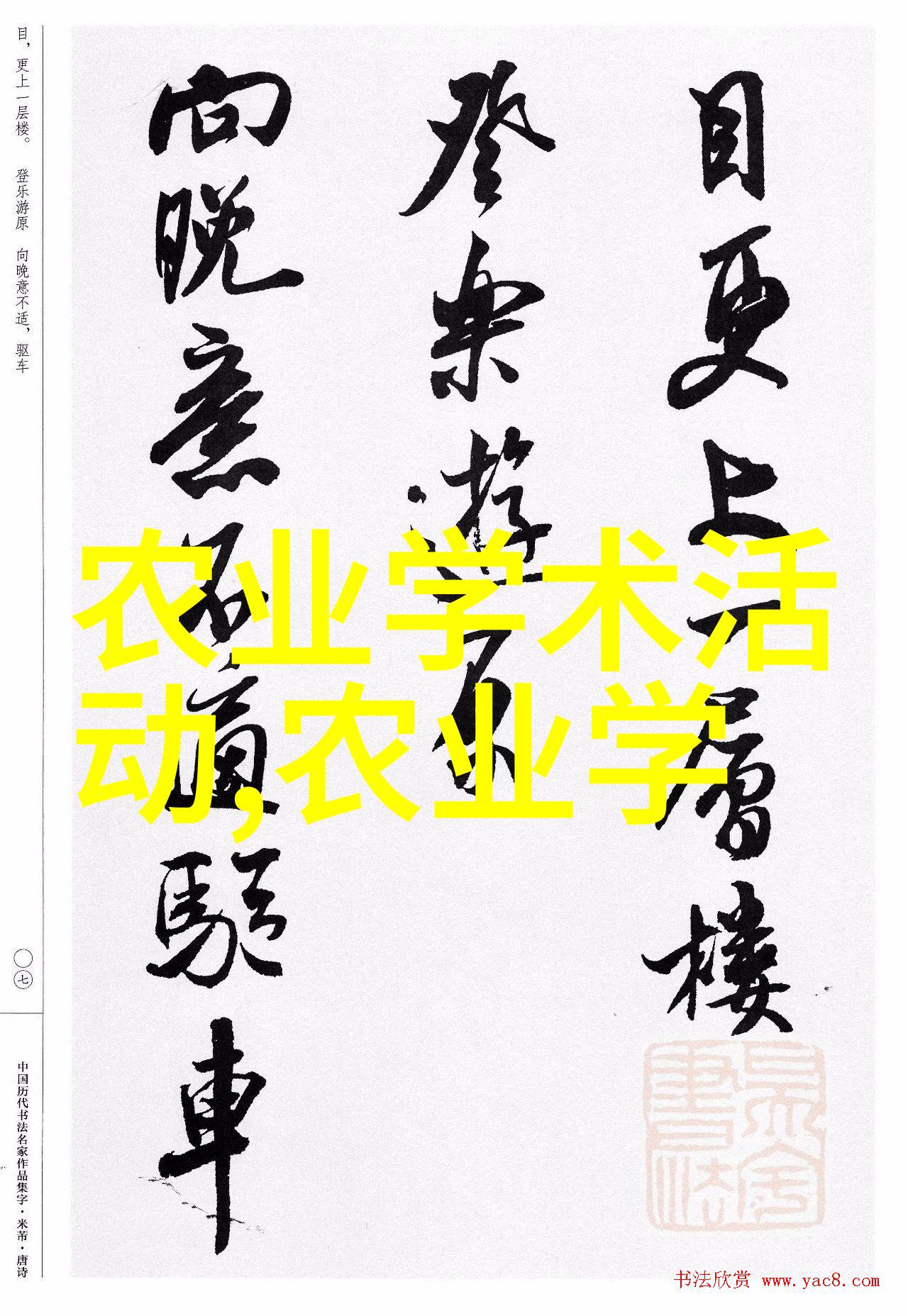 无土水培蔬菜种植新潮流让你的室内空间充满绿意