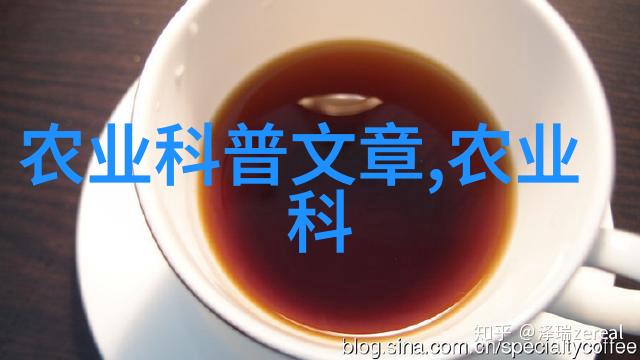 数字媒体技术考研方向探索未来信息传播的新篇章