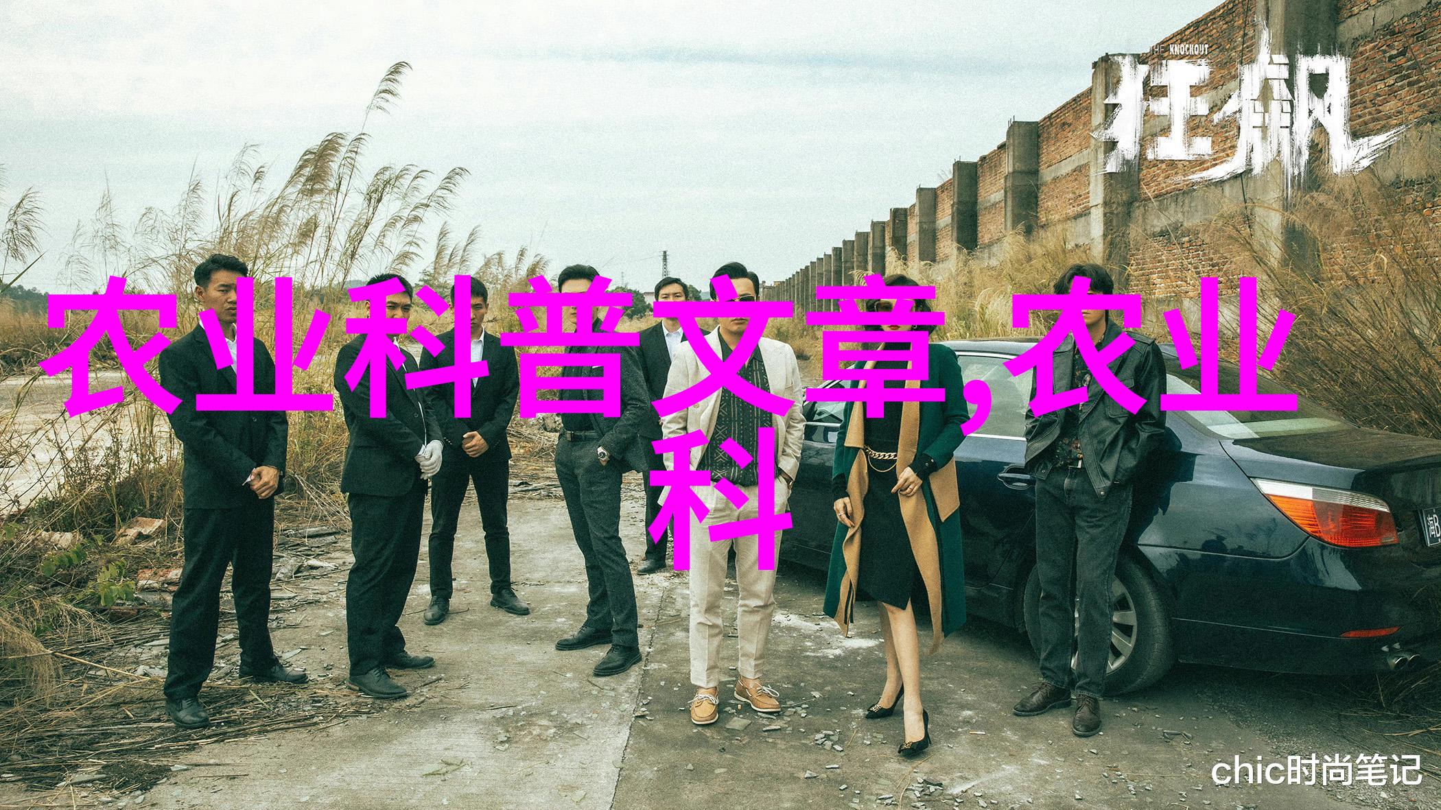 精选苗木品种为你的家园增添独特魅力