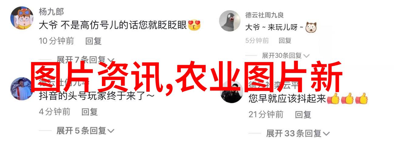 家庭盆景花卉图片大全图片我家的美丽小角落一张张让人心旷神怡的盆景照片