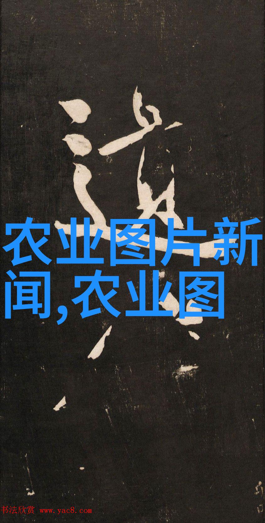 美色互换-绮丽梦境中的红颜交错白洁美红美芳高义的无限变换