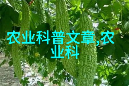 一亩田的承诺可靠的希望还是飘渺的梦想
