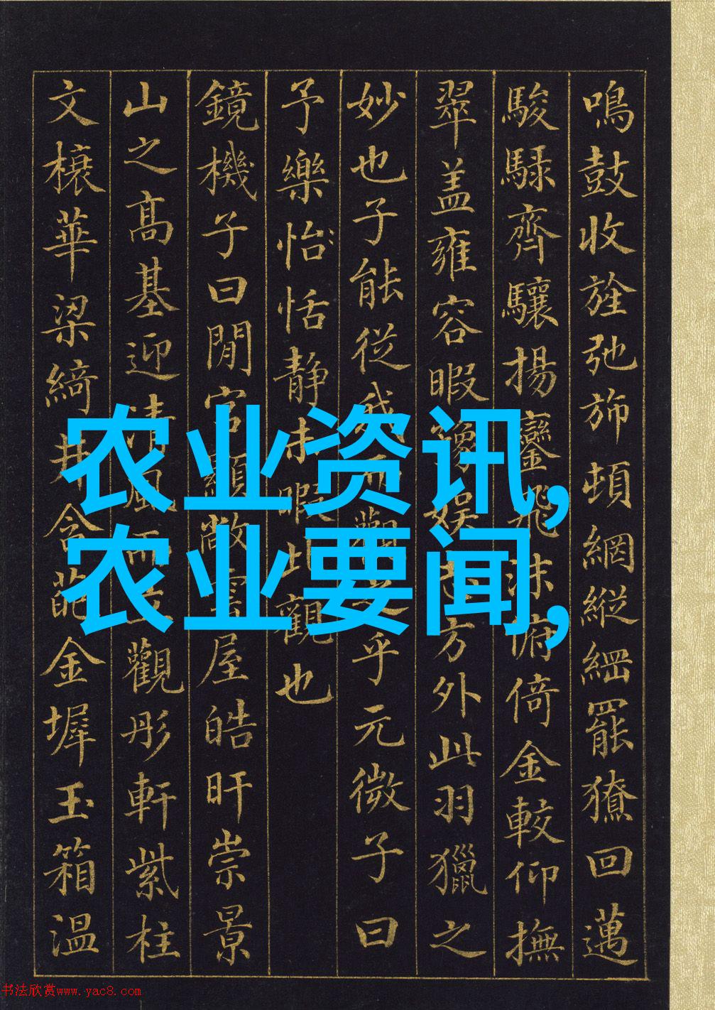 冷冻和保存欧洲菊 苗 的正确技巧分享