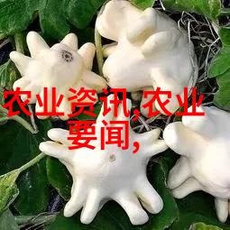 人工养殖马蜂窝技术从甜蜜的劳动到蜇人的生意