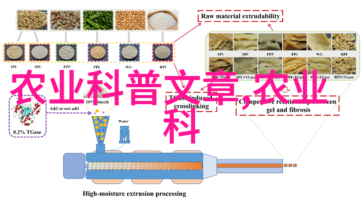 从种子到餐桌现代农业技术的变革