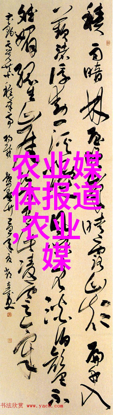 中国茶的介绍-品味中华中国茶文化与艺术的绚烂篇章