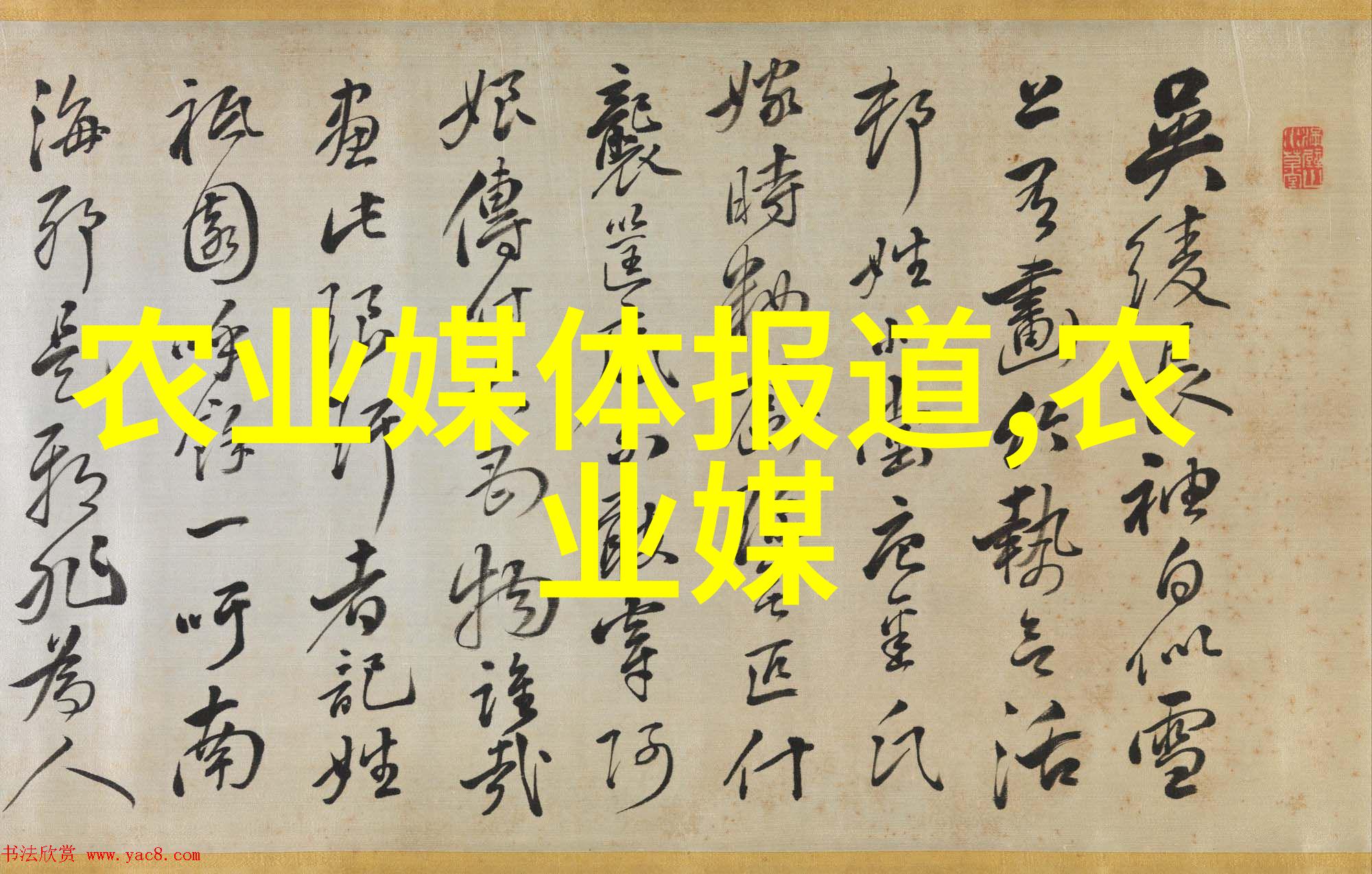 茶香养生揭秘茶叶的十大保健奇效