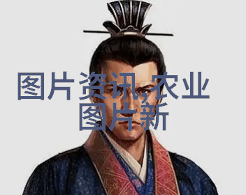 油菜种植技巧提高产量的关键在哪里