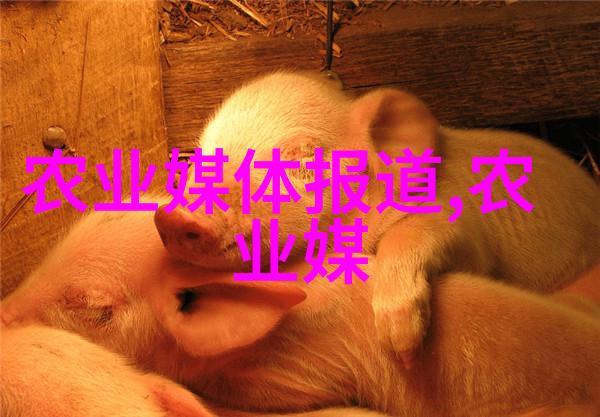 黄精栽培技巧种子选择与播种密度