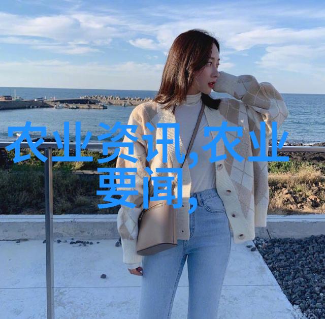 精确烹饪指南将一兩转化为精确克拉米数值