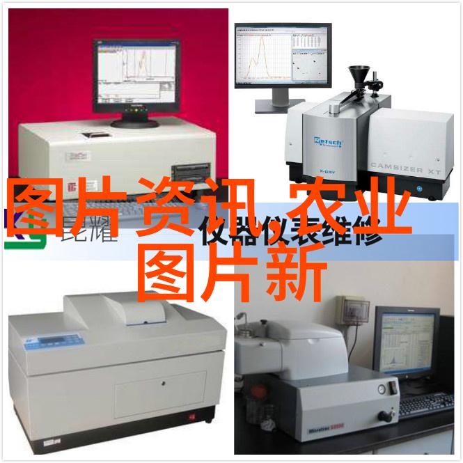 解锁郁金香秘密揭开种植之谜的时刻