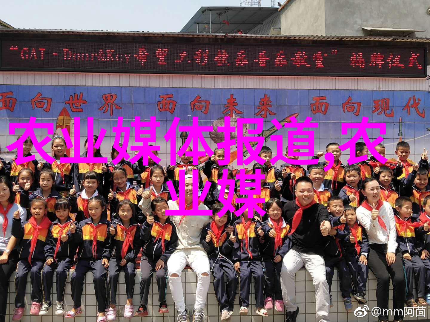 蜜蜂的智慧解读养蜂人四句口诀与自然和谐之道