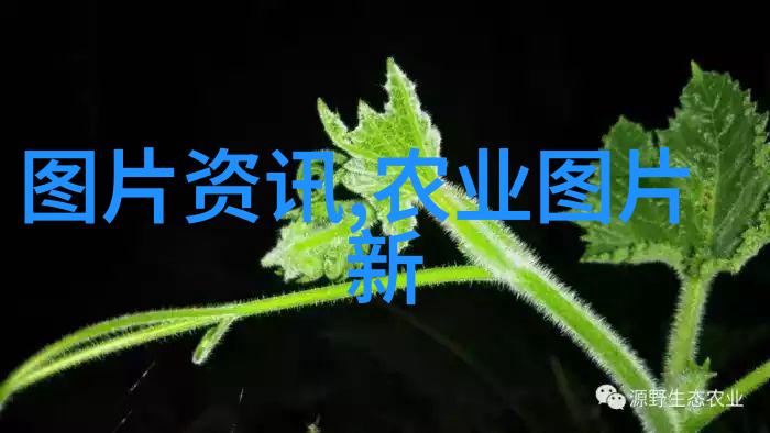 水果种植业论坛-精准农业与生态可持续水果种植业论坛探讨未来发展方向