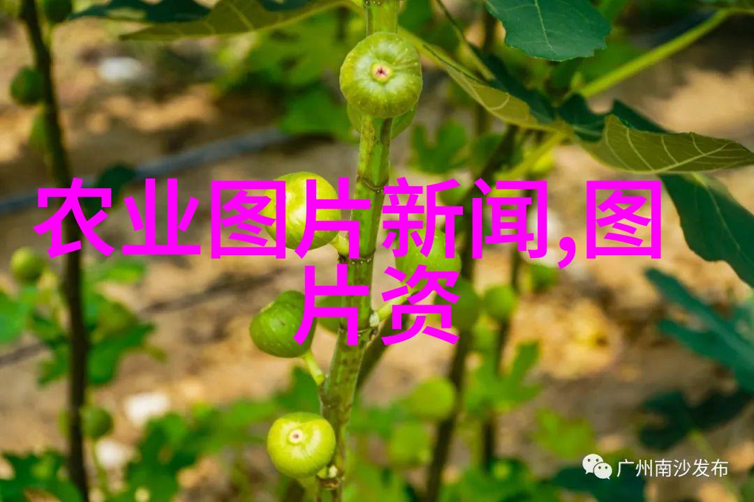 绿色健康之路展览中的每一张图片告诉你关于中草药名字背后的科学