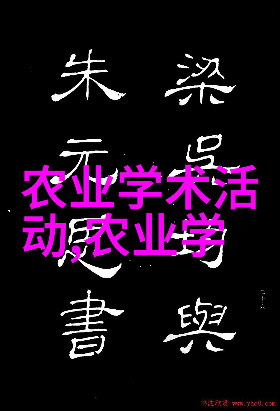 探秘千姿百态的多肉奇迹一本百科全书的诞生
