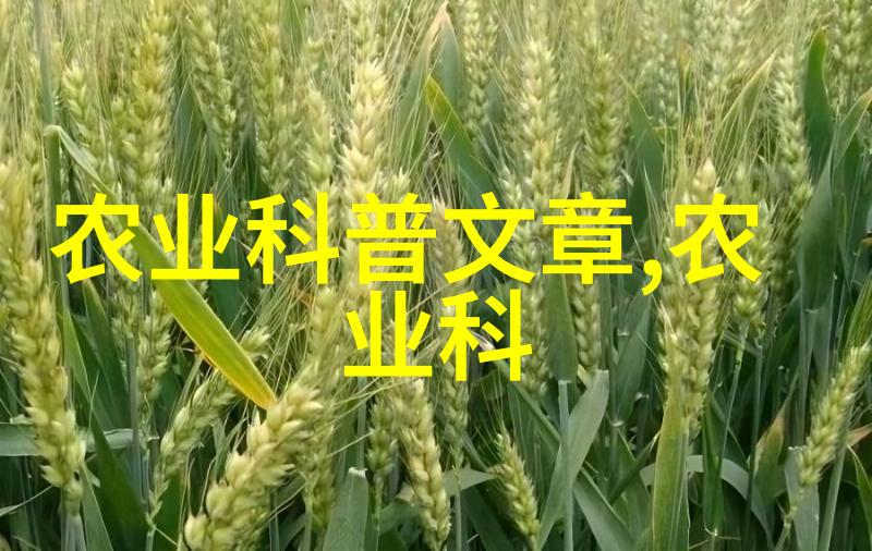 茶文化手抄报内容探索中国悠久的茶艺与艺术