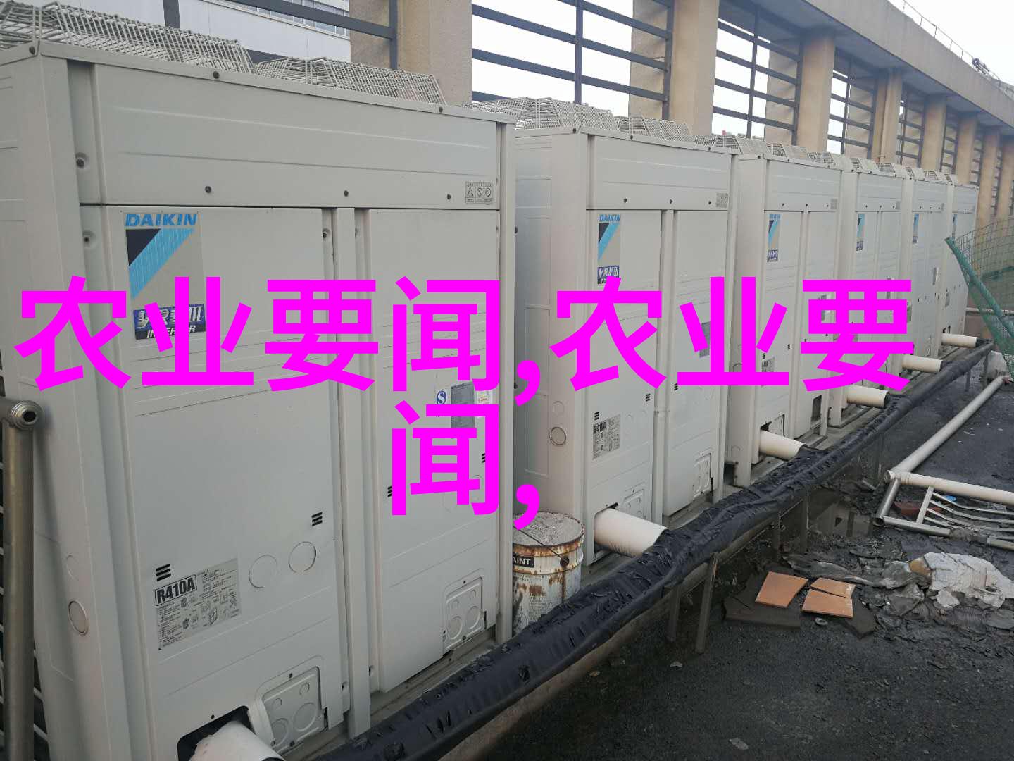 营业执照背后的秘密苗木个体户的隐秘之旅