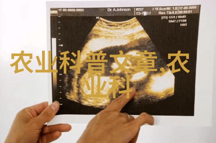 乡村风情下的家鸡养殖技巧解析