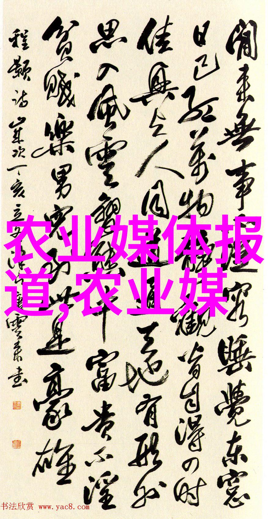 百草千用探秘农村100种野草药的神奇效用