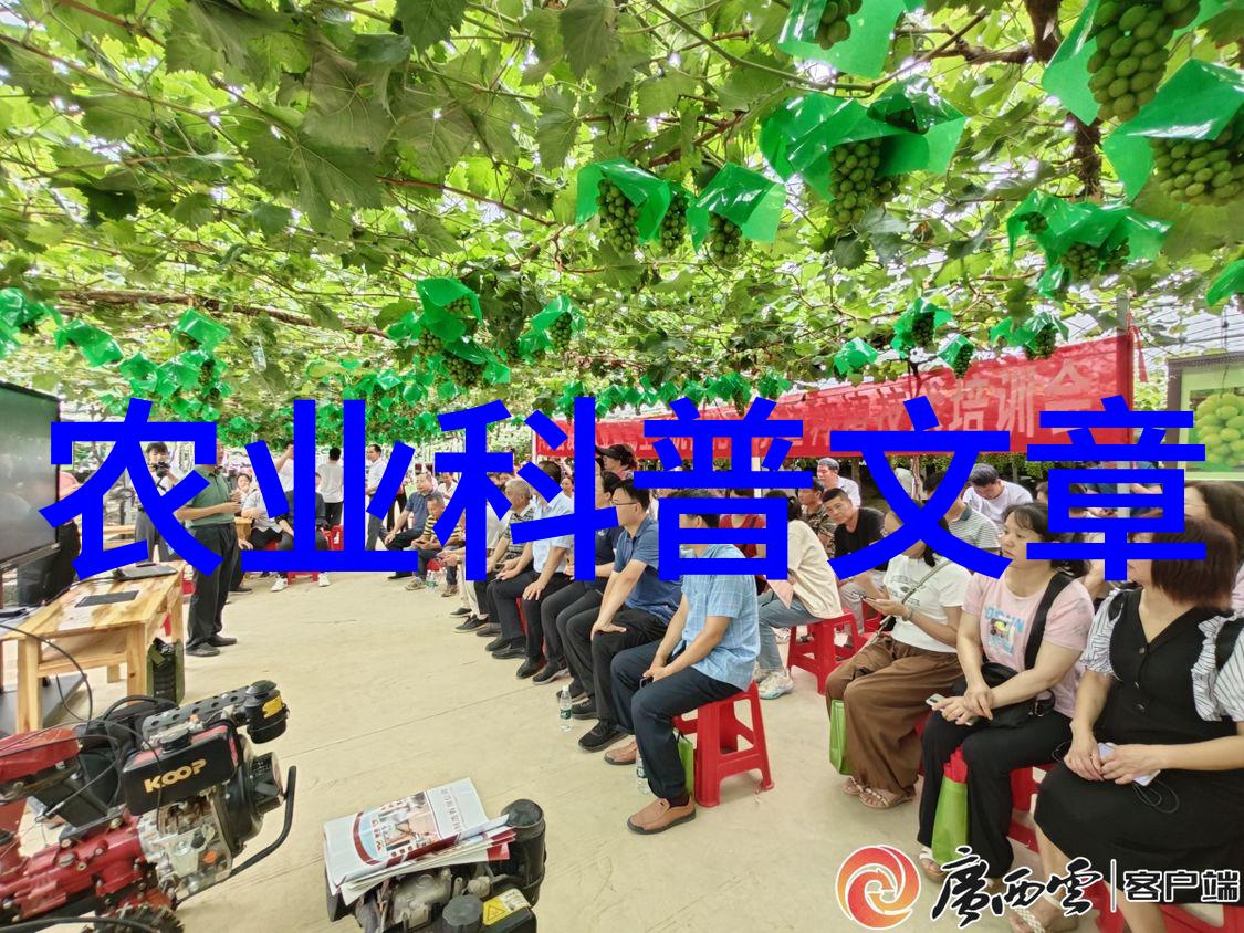农业科普活动_关于农业科普知识的活动_农业科普知识宣传材料