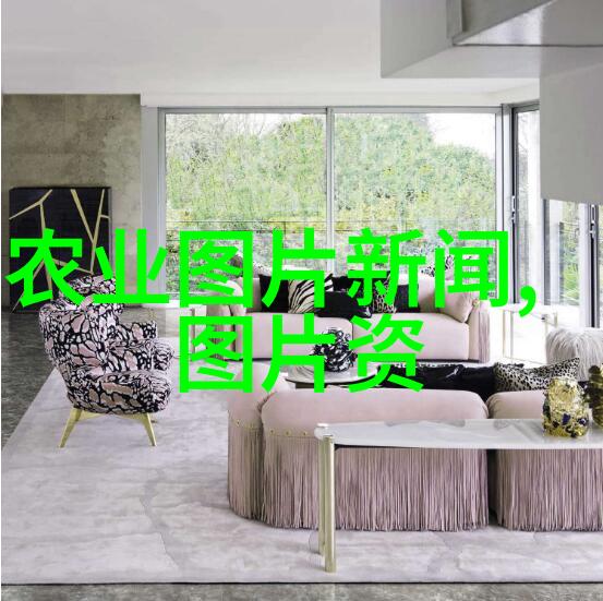 中国法律知识-深入解析中国法律体系的基本原则与实践应用