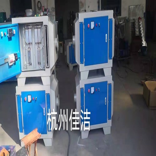 花卉种植指南详细的园艺技巧与养护方法