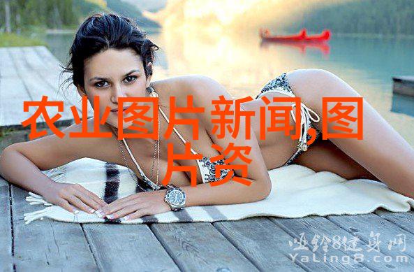 小空间大气质挑选适合室内的好看花卉