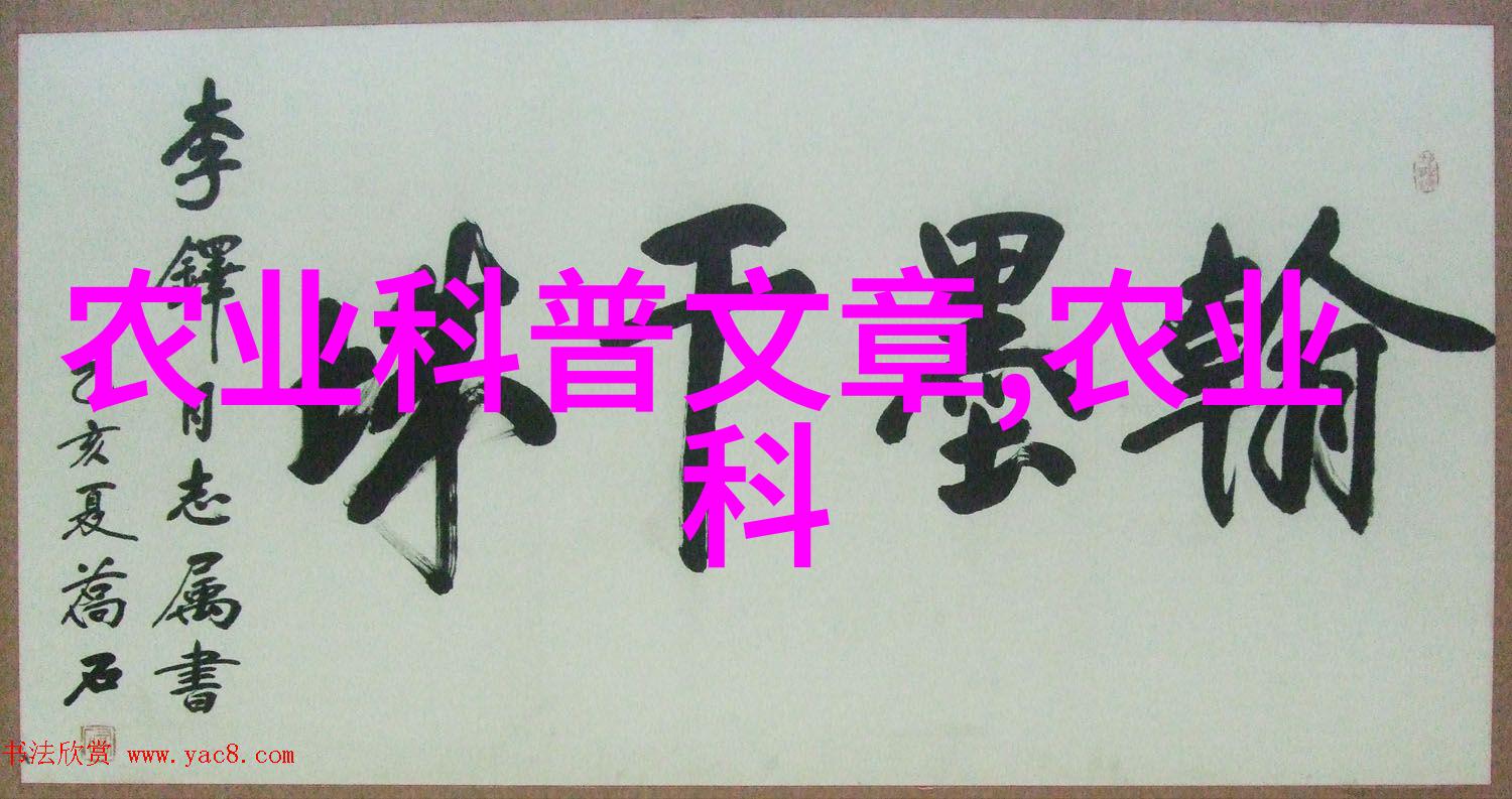 冬日的秘密花园雪菜的香气与诗意