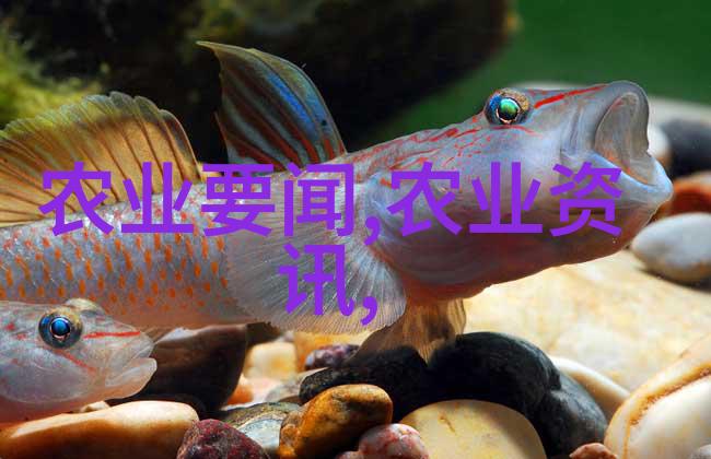 高效种植药材利润最大化的选择