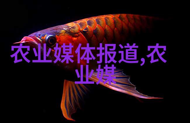 茶叶文化与品种介绍了解各种茶叶的特性和制作工艺