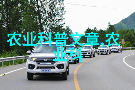 我要招聘员工在哪里找招得快洛宜路上法桐惨遭毁坏