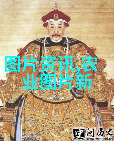 女性茶艺精选适合女性的茶叶推荐