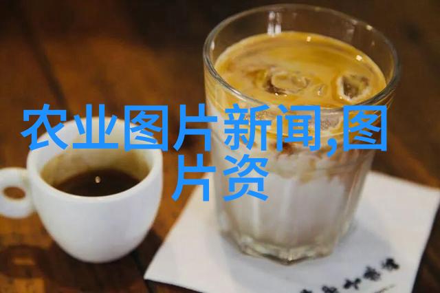 绚烂多彩探索常见的多年生草本花卉种类