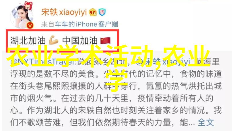 心意大利文化开放日1996庆祝意大利文化的开放与多样性