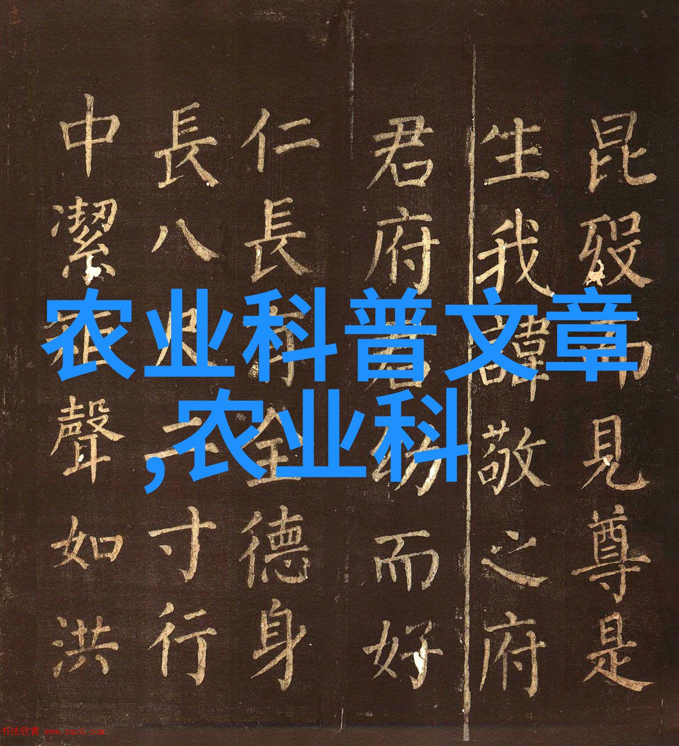 家里最旺财的十种花树我来告诉你这些金钱树不仅能赚钱还超级美