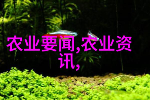 金线莲种子批发翠绿梦想的播种者