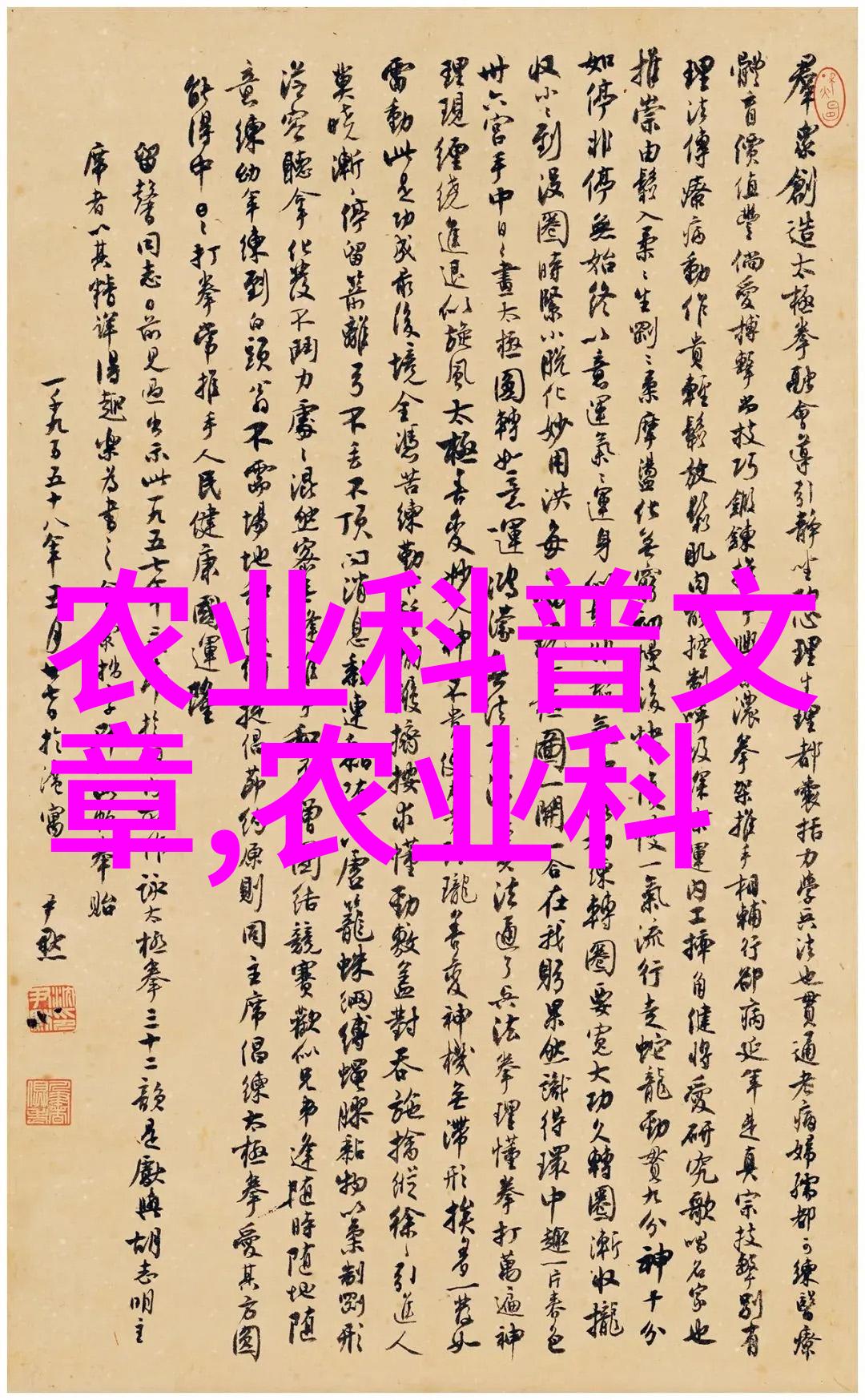 德州扒鸡加工技术