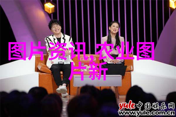 从教师法到师德师风十项准则教育改革的进步与展望