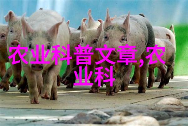 蜂蜜与花香养蜂的智慧之旅