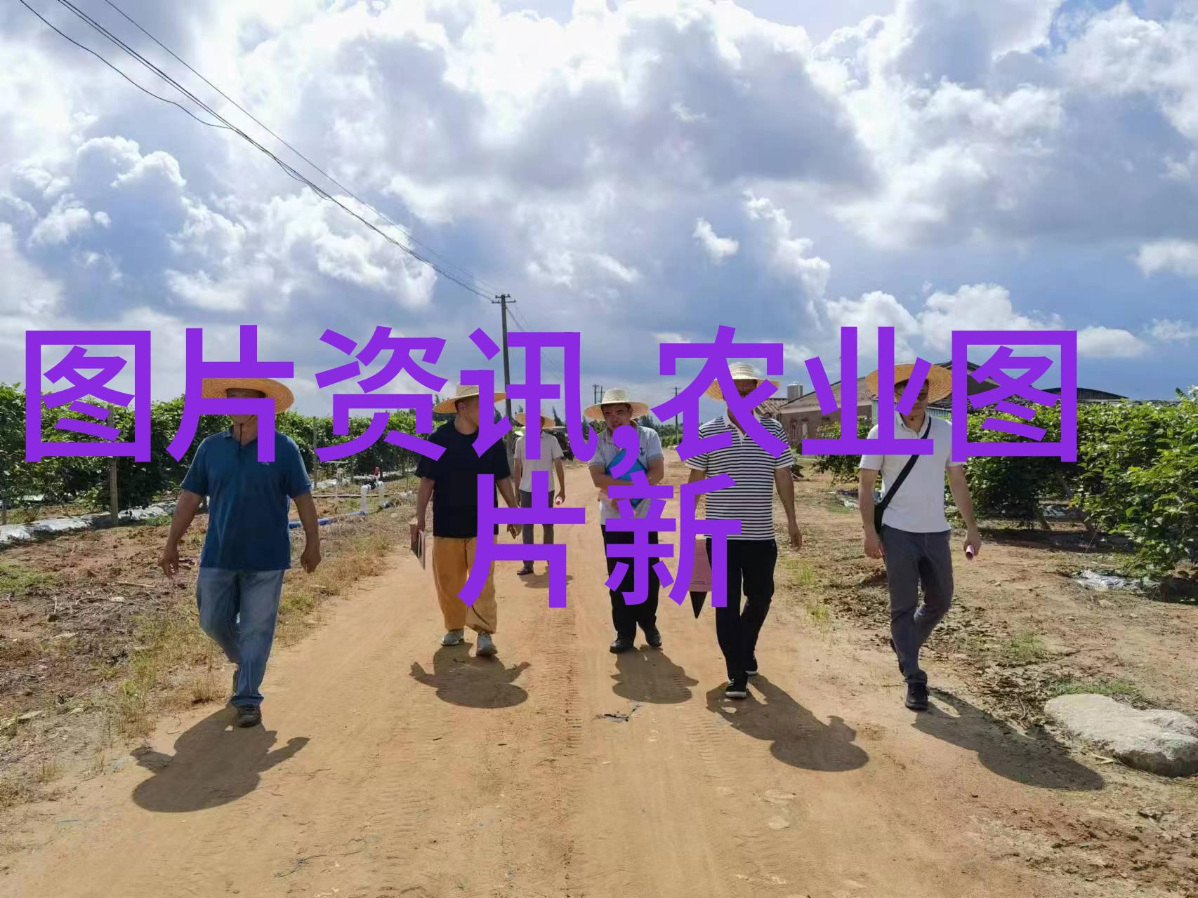 8月到9月最佳时节种植蔬菜与水果的秘密花园